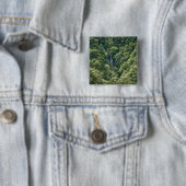 Himalaya-Wald im Mangdue-Tal, Bhutan Button (Beispiel)
