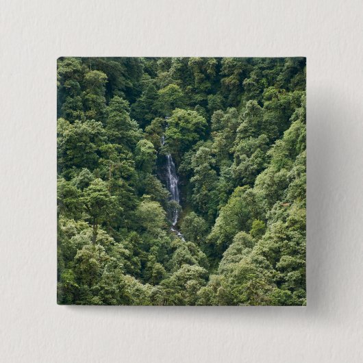 Himalaya-Wald im Mangdue-Tal, Bhutan Button (Vorderseite)