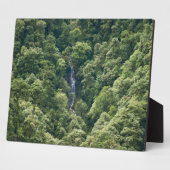 Himalaya-Wald im Mangdue-Tal, Bhutan Fotoplatte (Seite)