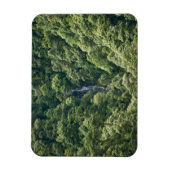 Himalaya-Wald im Mangdue-Tal, Bhutan Magnet (Vertikal)