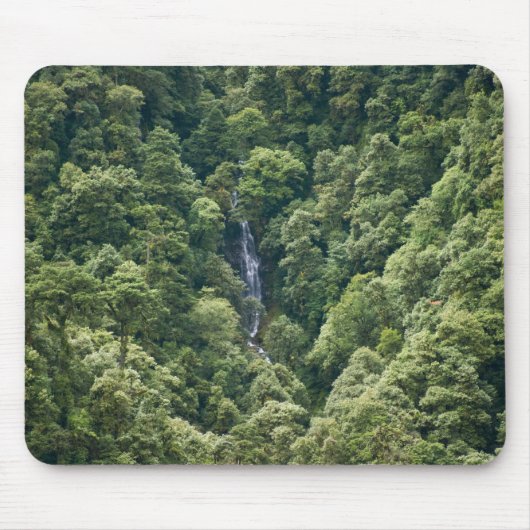 Himalaya-Wald im Mangdue-Tal, Bhutan Mousepad (Vorne)
