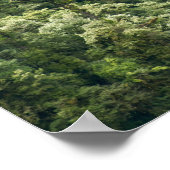 Himalaya-Wald im Mangdue-Tal, Bhutan Poster (Ecke)