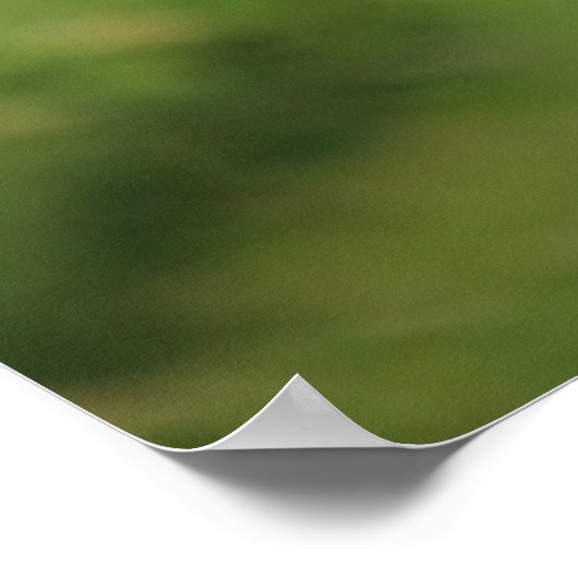 Himalayan Blue Poppy Blume Poster (Ecke)