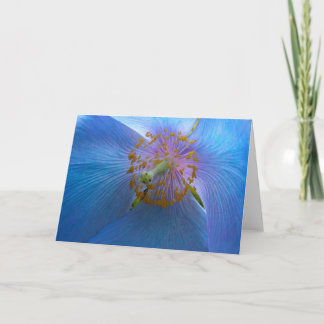 Himalayan Blue Poppy Card Feiertagskarte