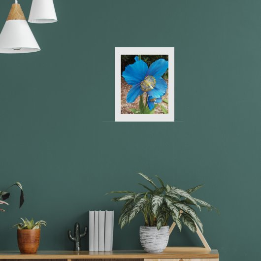 Himalayan Blue Poppy Floral Poster (Wohnzimmer 1)