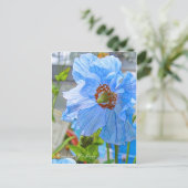 Himalayan Blue Poppy [Postcard] Postkarte (Stehend Vorderseite)