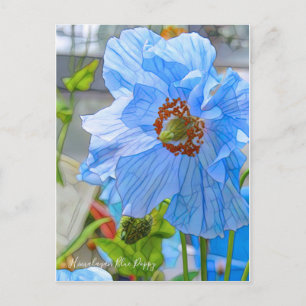 Himalayan Blue Poppy [Postcard] Postkarte