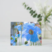 Himalayan Blue Poppy:Postcard Postkarte (Stehend Vorderseite)