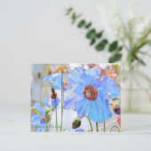 Himalayan Blue Poppy [Postcard] Postkarte (Stehend Vorderseite)
