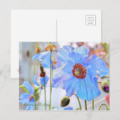 Himalayan Blue Poppy [Postcard] Postkarte (Vorne/Hinten)