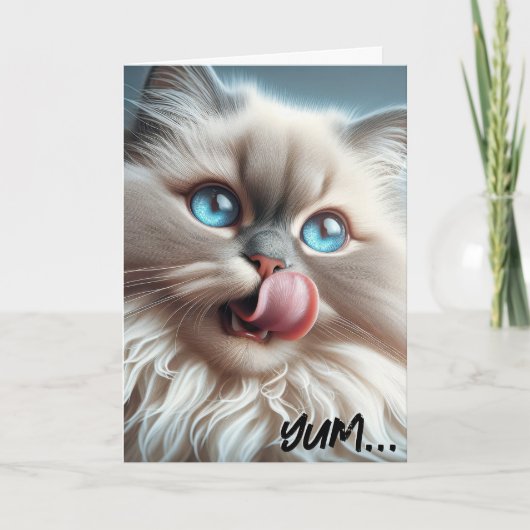 Himalayan Cat Birthday Spaß Karte (Vorderseite)