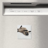 Himalayan Cat Lying auf seinem Rücken Magnet (In Situ (Geschirrspüler))
