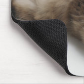 Himalayan Cat Lying auf seinem Rücken Mousepad (Ecke)
