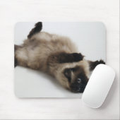 Himalayan Cat Lying auf seinem Rücken Mousepad (Mit Mouse)