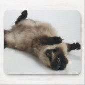 Himalayan Cat Lying auf seinem Rücken Mousepad (Vorne)