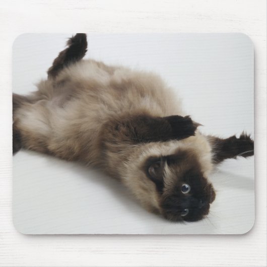 Himalayan Cat Lying auf seinem Rücken Mousepad (Vorne)
