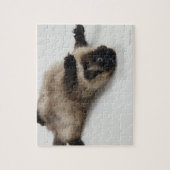 Himalayan Cat Lying auf seinem Rücken Puzzle (Vertikal)