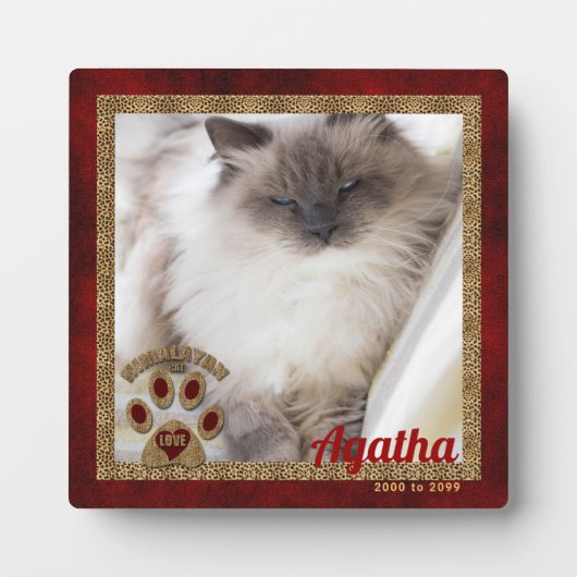Himalayan Cat Memorial Foto Fotoplatte (Vorderseite)