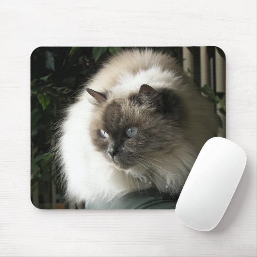 Himalayan Cat Mousepad (Mit Mouse)