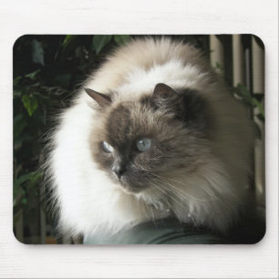 Himalayan Cat Mousepad