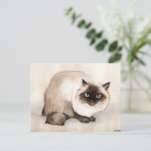Himalayan Cat Original Postkarte (Stehend Vorderseite)