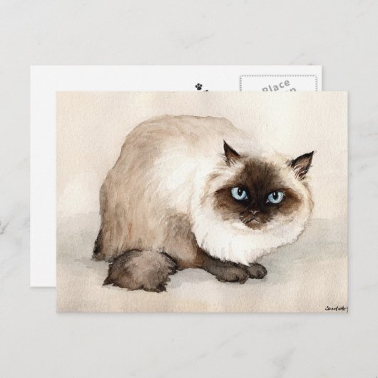 Himalayan Cat Original Postkarte (Vorne/Hinten)