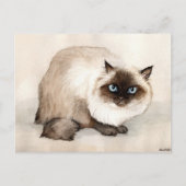Himalayan Cat Original Postkarte (Vorderseite)