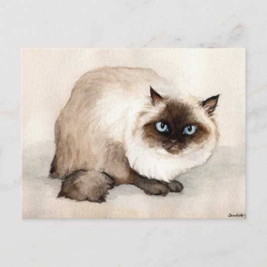 Himalayan Cat Original Postkarte (Vorderseite)