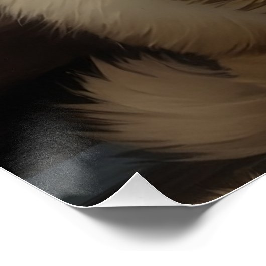 Himalayan Cat Poster (Ecke)