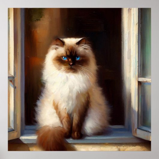 Himalayan Cat Poster (Vorne)
