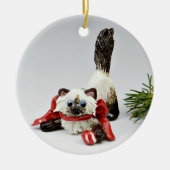 Himalayan Cat Sealpoint Keramik Ornament (Vorne)