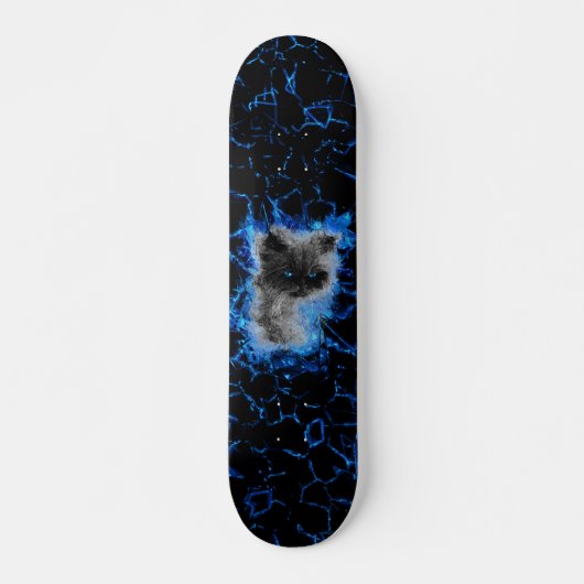 Himalayan Cat Skateboard (Vorne)