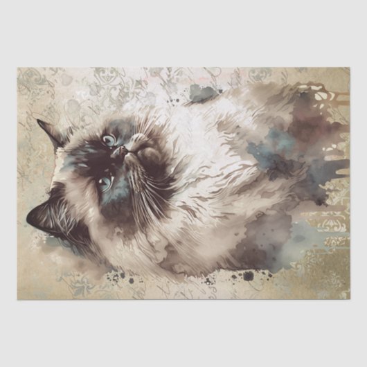 Himalayan Cat Watercolor Seidenpapier (Vorderseite)