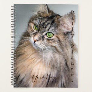 Himalayan Katze - Tagesplaner- HAMbWG Planer
