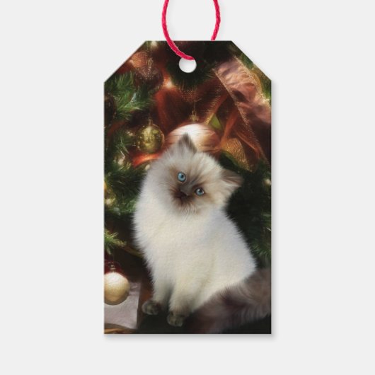 Himalayan Kitten Weihnachten Geschenkanhänger (Vorderseite)