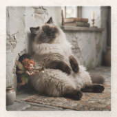 Himalayan-Kitty und Pixie werden überrascht Glasuntersetzer (Vorderseite)