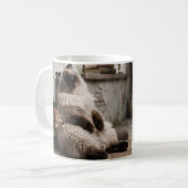 Himalayan-Kitty und Pixie werden überrascht  Kaffeetasse (Vorderseite Links)