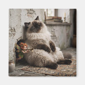 Himalayan-Kitty und Pixie werden überrascht Magnet (Vorne)
