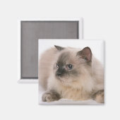 Himalayan Magnet (Vorderseite/Rückseite)