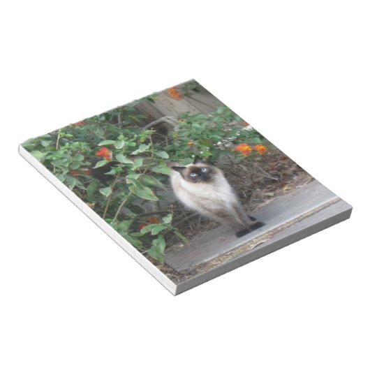 Himalayan Mix Cat Notizblock (angewinkelt)