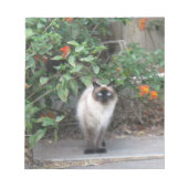 Himalayan Mix Cat Notizblock (Vorderseite)