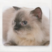 Himalayan Mousepad (Vorne)