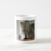 Himalayan Persian Cat Kaffeetasse (Mittel)