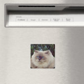 Himalayan Persian Cat Magnet (In Situ (Geschirrspüler))