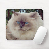 Himalayan Persian Cat Mousepad (Mit Mouse)