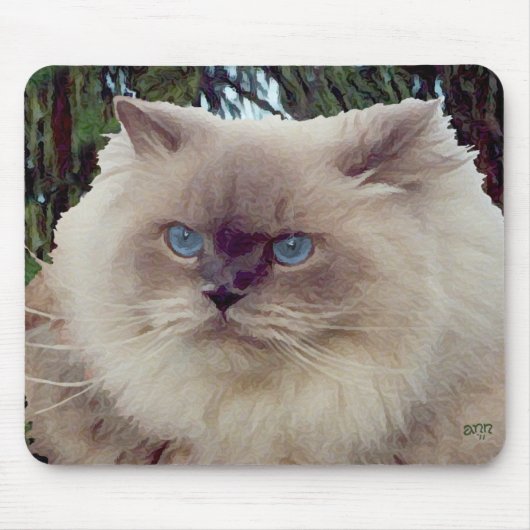 Himalayan Persian Cat Mousepad (Vorne)