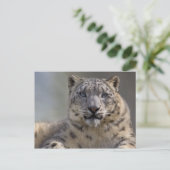 Himalayan Prince Postcard Postkarte (Stehend Vorderseite)