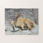 Himalayan Tahr Puzzle (Horizontal)
