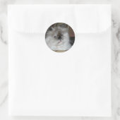 Himalayan Torti Point Runder Aufkleber (Tasche)