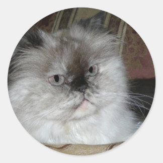 Himalayan Torti Point Runder Aufkleber